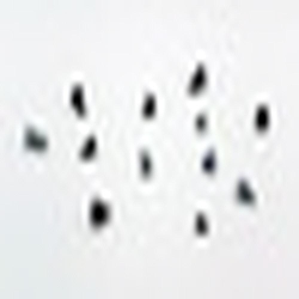 OEM Automotive home appliance customizing speical stainless steel screw