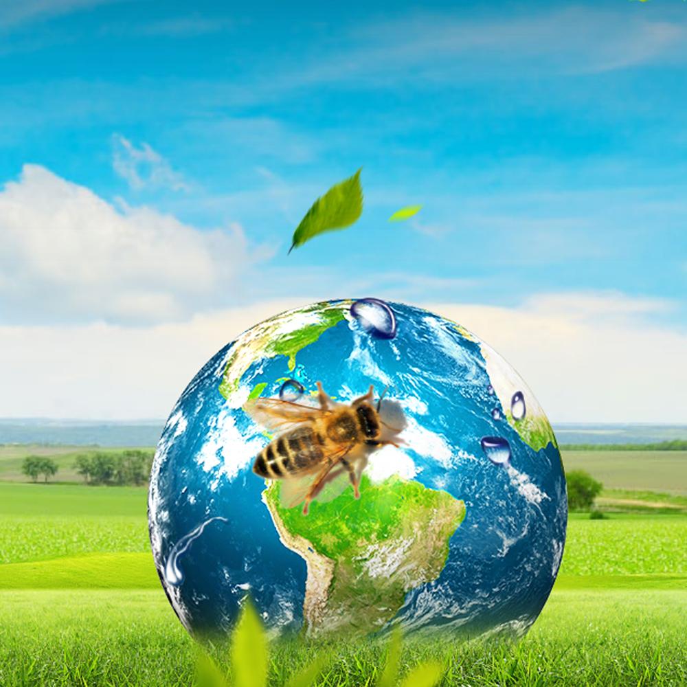 Unique Water-soluble Propolis 120