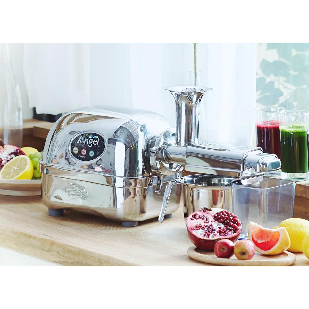 All Stainless Steel Twin Gear Juicer  made in Korea