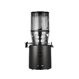 Hurom Slow Juicer (H320N)