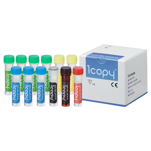 BCR-ABL qPCR Kit, CML | CML, BCR-ABL, leukemia, chronic Myelogenous Leukemia, Cancer, Blood Cancer, philadelphia chromosome, BCR::ABL, qPCR, Reagent