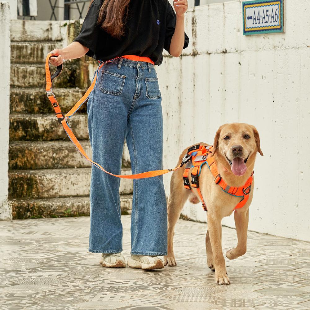 slim 3.0 harness & I-leash